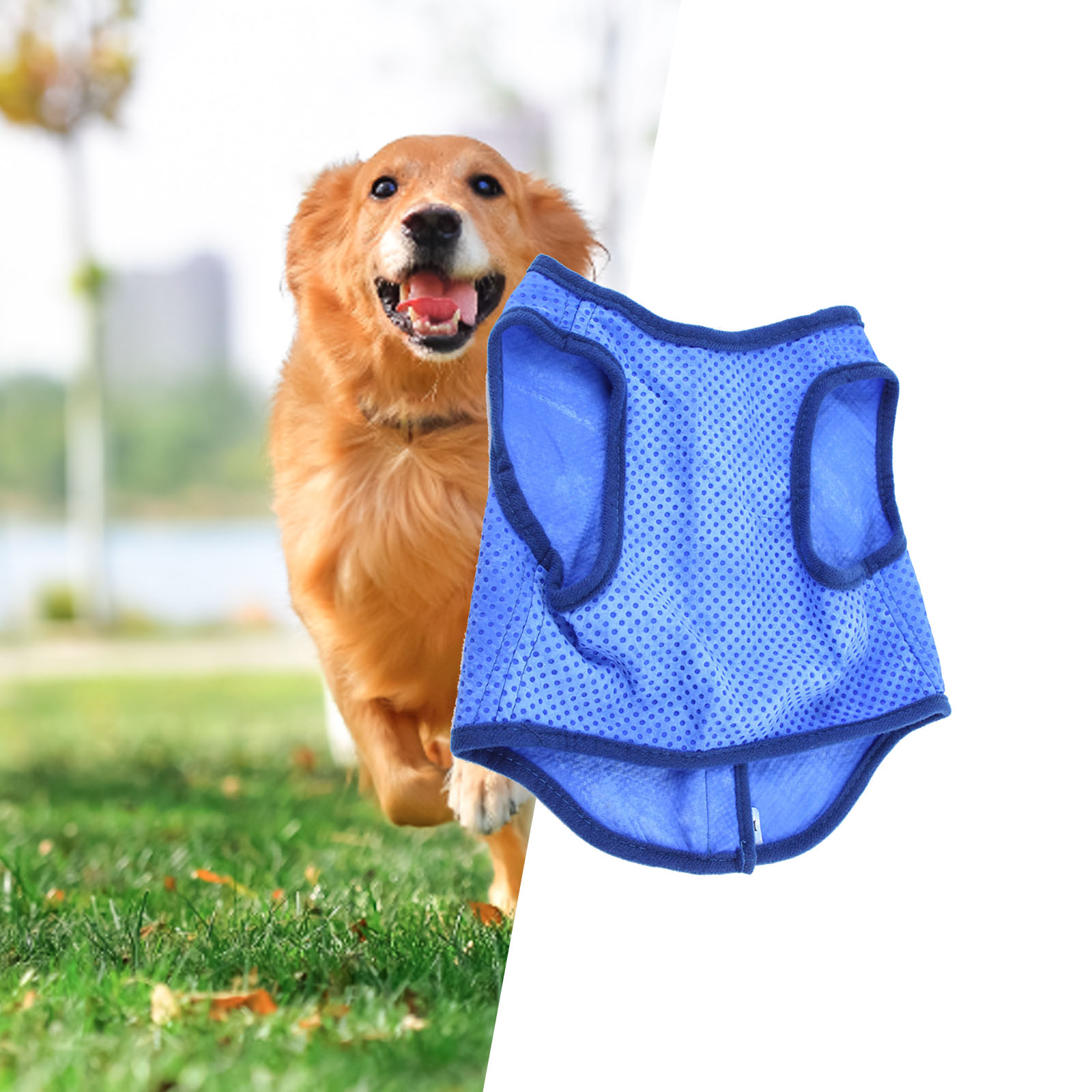 Dog Cooling Vest Breathable Su - огляд і ціна Outdoor Sport Coat