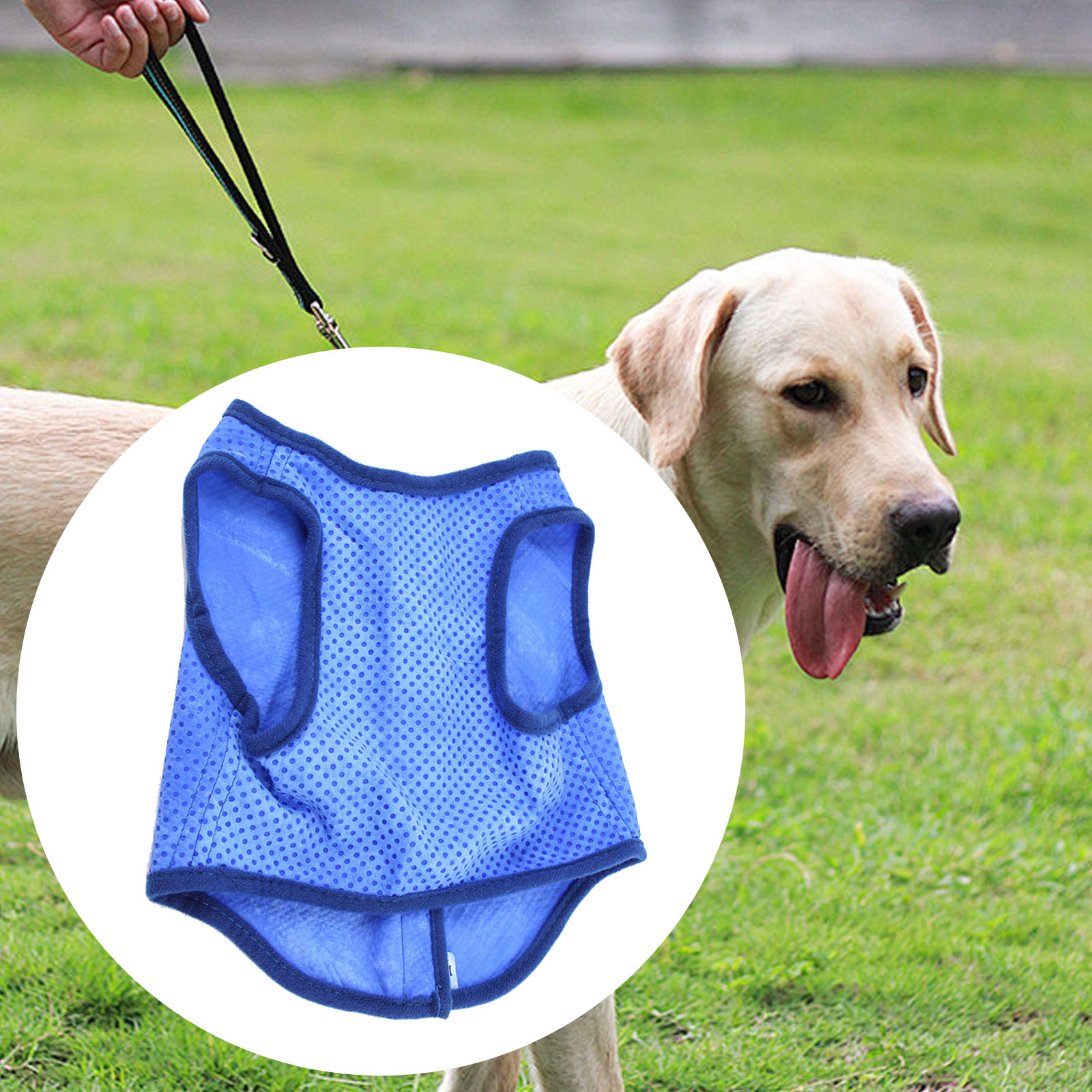 Dog Cooling Vest Breathable Su - огляд і ціна Outdoor Sport Coat