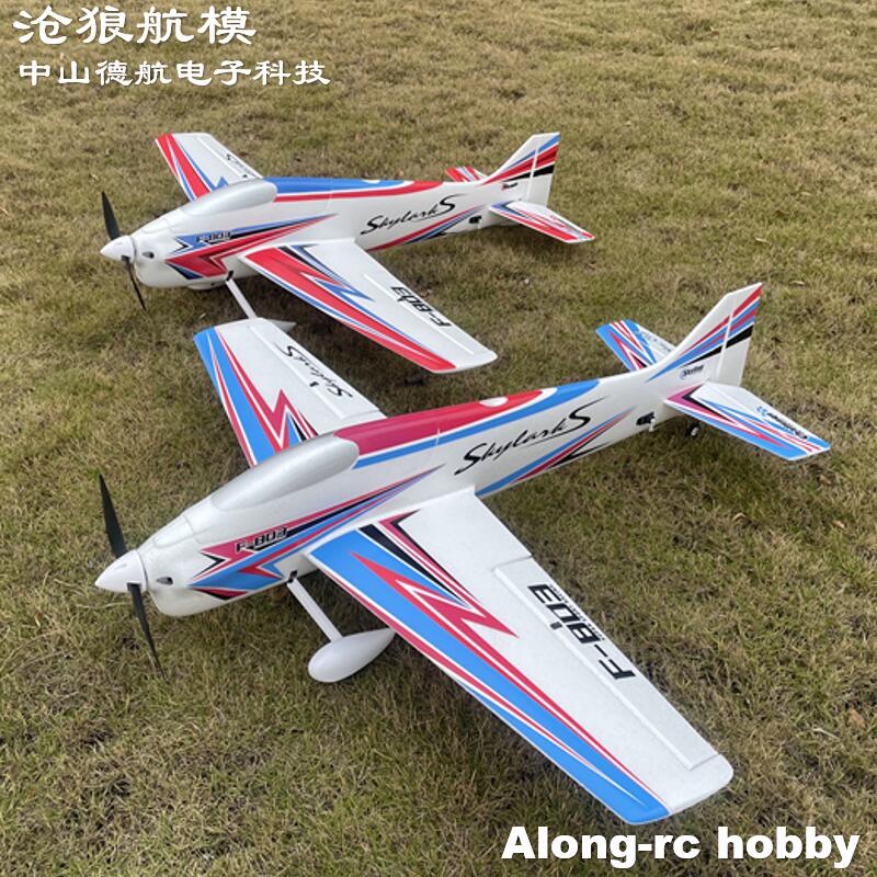 F803  F3A Skylarks 1000mm Wing - огляд і ціна Outdoor Sport Hobbies