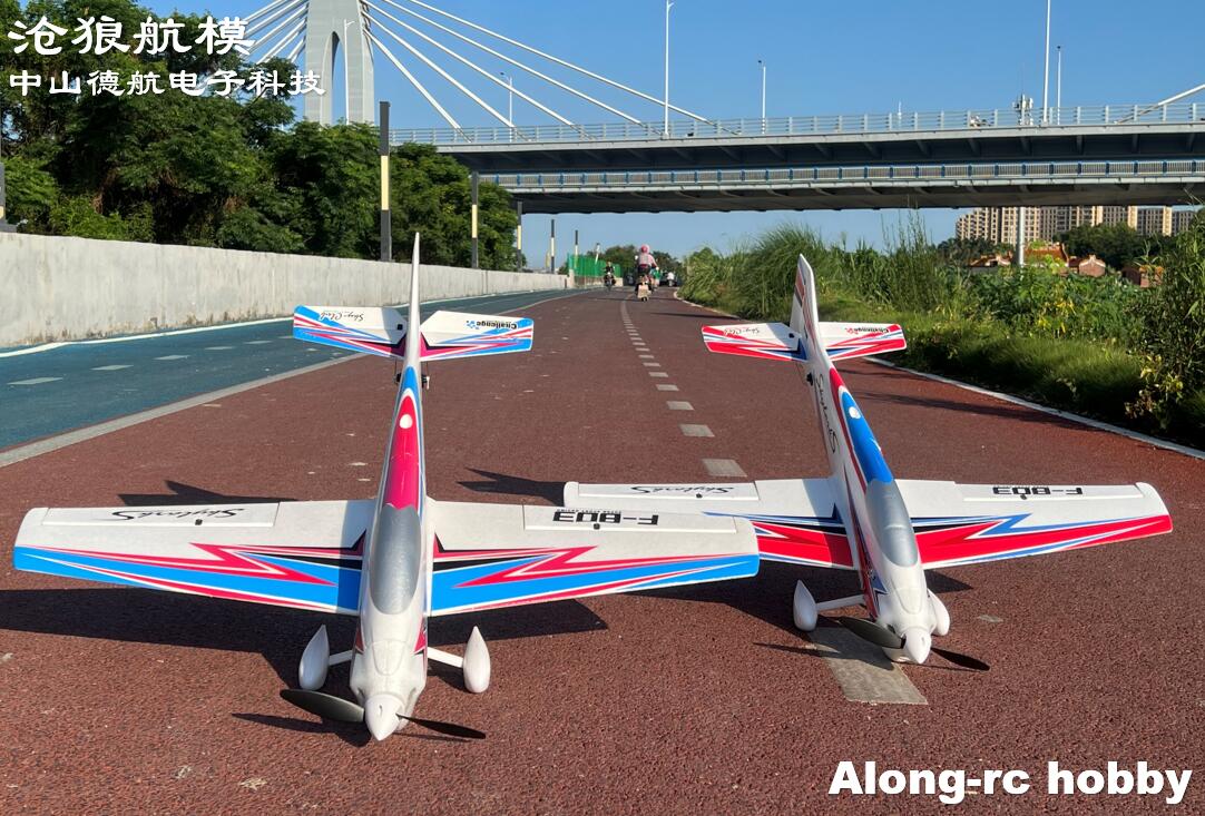 F803  F3A Skylarks 1000mm Wing - огляд і ціна Outdoor Sport Hobbies