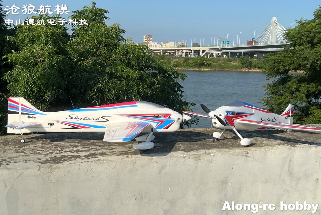 F803  F3A Skylarks 1000mm Wing - огляд і ціна Outdoor Sport Hobbies